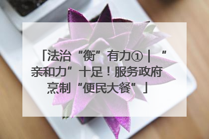 法治“衡”有力①｜“亲和力”十足！服务政府烹制“便民大餐”